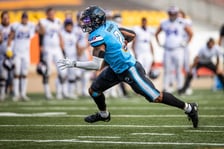 W ostatnim meczu sezonu zasadniczego Panthers Wrocław ograli Vienna Vikings 42:6