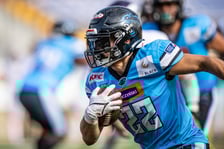 W ostatnim meczu sezonu zasadniczego Panthers Wrocław ograli Vienna Vikings 42:6