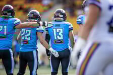 W ostatnim meczu sezonu zasadniczego Panthers Wrocław ograli Vienna Vikings 42:6