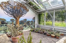 Trwa remont zabytkowych szklarni w Ogrodzie Botanicznym. Wewnątrz znajduja się już pierwsze rośliny