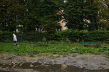 Widok na podwórko w kwartale ulic: Pereca, Szczęśliwej, Jemiołowej i Lwowskiej.