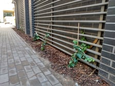 Podwórko w kwartale ulic - Cybulskiego, Pomorska, Drobnera, Dubois świetnie wygląda po remoncie