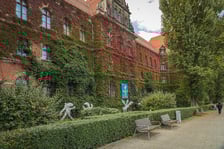 Budynek Muzeum Narodowego przy pl. Powstańców Warszawy 5. To jeden z najpiękniej obrośniętych winobluszczem obiektów we Wrocławiu.