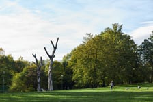 Park Kleciński we Wrocławiu