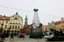 Na zdjęciu: budowa choinki na Rynku