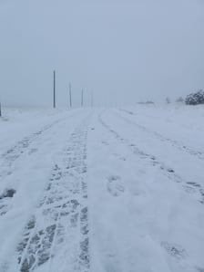 Na zdjęciu śnieg w Karkonoszach