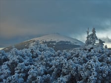 Na zdjęciu śnieg w Karkonoszach