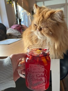 <h3>Kot Cafe</h3>
<p>W kawiarni Kot Cafe bezalkoholowego grzańca wypijecie w towarzystwie mruczk&oacute;w. Do wyboru są cztery smaki&nbsp;&ndash; imbirowy z cytrusami i rokitnikiem, hibiskusowy z r&oacute;żą, szarlotkowy i grapefruitowy z rozmarynem.&nbsp;</p>
<p>Kawiarnia jest kr&oacute;lestwem kot&oacute;w i to one są w tym miejscu najważniejsze. Aby czuły się komfortowo do kawiarni mogą przyjść osoby powyżej 10. roku życia, natomiast młodsze dzieci mogą ją odwiedzić w każdą niedzielę. Warto pamiętać, że należy przestrzegać regulaminu &ndash; znajdziecie go <a href="https://www.kotcafewroclaw.pl/general-8" target="_blank" rel="noopener">na stronie kociej kawiarni.</a></p>
<ul>
<li>Adres: Dubois 25</li>
<li>Dni otwarcia: codziennie od godz. 11:00 do 20:00</li>
</ul>