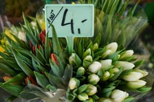 Zobaczcie co oferują wrocławskie kwiaciarki na pl. Solnym i za ile można kupić kwiaty, bukiety i wiązanki