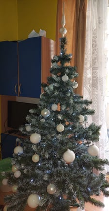 Zdjęcie choinki nadesłane przez internautów na Facebooku www.wroclaw.pl