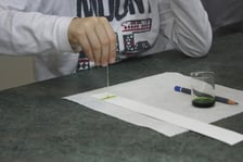 Noc Biologów 2022: uczestnik przeprowadza chromatograficzną analizę barwników roślinnych