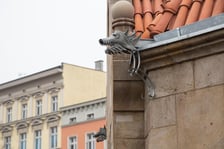 Spacer z przewodnikiem po mostach Pomorskich, 28.01.2023