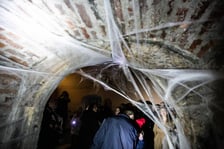 <p>Na zdjęciu: Leśnicki zamek podczas nocnego zwiedzania</p>