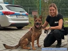 <p><span style="color: #232323; font-family: 'Fira Sans', sans-serif; font-size: 18px;">W Komendzie Miejskiej Policji we Wrocławiu, można składać dokumenty w Wydziale Kadr KMP przy ul. Sołtysowickiej 21 od poniedziałku do piątku w godzinach 7:30 &ndash; 15:00. Osoby zainteresowane pełnieniem służby mogą r&oacute;wnież kontaktować się pod nr tel. 47 87 129 62.</span></p>