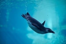 Zoo Wrocław