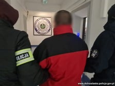 Zarzuty i areszty dla członów zorganizowanej grupy przestępczej zajmującej się m.in. kradzieżami samochodów