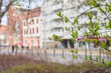 <p>Oznaki wiosny na placu Nowy Targ</p>