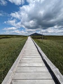 Śnieżka