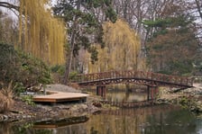<p>Widoki z Ogrodu Botanicznego, rośliny powoli budzą się na wiosnę</p>