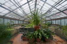 <p>Widoki z Ogrodu Botanicznego, rośliny powoli budzą się na wiosnę</p>