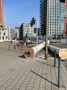 <p>na zdjęciu: ogromne spadły spadły na jezdnię przy skrzyżowaniu Jedności Narodowej z Wyszyńskiego tuż przed mostami Warszawskimi</p>