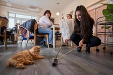 Kot Cafe . Kocia kawiarnia we Wrocławiu