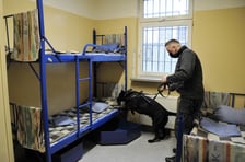 <h2>Aktualne oferty zatrudnienia: Zakład Karny we Wrocławiu i Areszt Śledczy we Wrocławiu</h2>
<p>Wymagane dokumenty należy składać w terminie do dnia 27 marca 2023 r. za pomocą przesyłki pocztowej poleconej na wybrany przez siebie adres:</p>
<ul>
<li>Okręgowy Inspektorat Służby Więziennej Sądowa 2,&nbsp; 45-033 Opole</li>
<li>Zakład Karny Nr 1 Kleczkowska 35, 50-211 Wrocław z dopiskiem &bdquo;nab&oacute;r&rdquo;</li>
</ul>
<p><span style="font-weight: bold;">STRAŻNIK DZIAŁU OCHRONY - 25 etat&oacute;w</span></p>
<p>Wynagrodzenie - osoby do 26 roku życia netto: 3.937,57 zł powyżej 26 roku życia netto: 3.669,57 zł</p>
<p><span style="font-weight: bold;">MŁODSZY(A) PIELĘGNIARZ(KA) / MŁODSZY RATOWNIK MEDYCZNY - 5 etat&oacute;w</span></p>
<p>Wynagrodzenie - osoby do 26 roku życia netto: 4.167,80 zł powyżej 26 roku życia netto: 3.856,80 zł,</p>
<p><span style="font-weight: bold;">REFERENT DZIAŁU FINANSOWEGO - 1 etat</span></p>
<p>Wynagrodzenie &ndash; osoby do 26 roku życia netto: 3.937,57 zł powyżej 26 roku życia netto: 3.669,57 zł</p>
<p><span style="font-weight: bold;">MŁODSZY WYCHOWAWCA DZIAŁU PENITENCJARNEGO - 3 etaty</span></p>
<p>Wynagrodzenie &ndash; osoby do 26 roku życia netto: 4.674,82 zł powyżej 26 roku życia netto: 4.284,82 zł</p>
<p><span style="font-weight: bold;">REFERENT DZIAŁU KWATERMISTRZOWSKIEGO - 2 etaty</span></p>
<p>Wynagrodzenie &ndash; osoby do 26 roku życia netto: 3.937,57 zł powyżej 26 roku życia netto: 3.669,57 zł</p>
<p><span style="font-weight: bold;">KIEROWCA DZIAŁU KWATERMISTRZOWSKIEGO - 1 etat</span></p>
<p>&nbsp;</p>
<p>Wynagrodzenie &ndash; &ndash; osoby do 26 roku życia netto: 4.268,81 zł powyżej 26 roku życia netto: 3.938,81 zł</p>