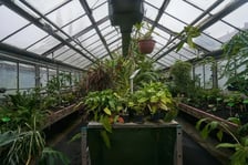 Ogród Botaniczny we Wrocławiu