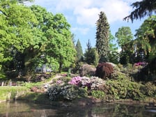 <p class="MsoNormal">W kwietniu na naszym portalu Mariola Szczyrba napisała tak:<br /><br />&bdquo;<strong>Arboretum w Wojsławicach</strong> koło Niemczy otworzyło swoje podwoje po jesienno-zimowej przerwie. Zjawiskowe miejsce, bez wątpienia jedno z najpiękniejszych tego typu na Dolnym Śląsku, jeśli nie w Polsce. To idealny pomysł na weekendowy wypad za miasto. Wojsławice położone są 50 km na południe od Wrocławia i 2 km na wsch&oacute;d od Niemczy, na obszarze chronionego krajobrazu Wzg&oacute;rz Niemczańsko-Strzelińskich.&rdquo; <br /><a href="../../../zielony-wroclaw/arboretum-wojslawice-pomysl-na-weekend-sezon-2023-otwarcie-bilety-godziny">Cały tekst &ndash; tutaj</a>.</p>
<p class="MsoNormal"><strong>Około 60 kilometr&oacute;w z centrum Wrocławia</strong>.</p>