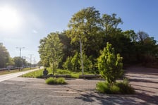<p>Nagrodzony w konkursie zrealizowany projekt PoPo Parku</p>