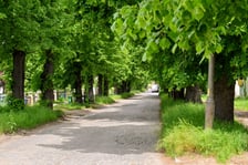 Ulica Pawia była główną drogą we wsi. Nazywała się Dorfstraße.