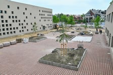 Zespół Szkolno-Przedszkolny przy ul. Asfaltowej.