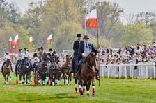 <p>Wyścigi na Partynicach we Wrocławiu</p>