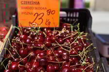 Ceny warzyw i owoców w Hali Targowej i w warzywniakach w centrum Wrocławia