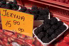Ceny warzyw i owoców w Hali Targowej i w warzywniakach w centrum Wrocławia