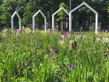 Park kieszonkowy przy ul. Tczewskiej