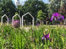 Park kieszonkowy przy ul. Tczewskiej