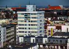 Trzonolinowiec
