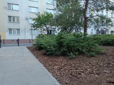 Remont podwórek u zbiegu ul. Czystej i Kościuszki
