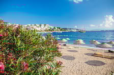 <p><strong>2. Bodrum</strong></p>
<p>Ta miejscowość w południowo-zachodniej Turcji, położona naprzeciw wyspy Kos, zajmuje drugie miejsce w zestawieniu czarterowym z Wrocławia. W tym kierunku na wypoczynek z wrocławskiego lotniska udały się 22 153 osoby. Bodrum słynie nie tylko z doskonałej bazy turystycznej, ale i unikatowej panoramy miasta, na kt&oacute;rą składają się m.in. słynne białe domki ulokowane na wzg&oacute;rzach. W Bodrum znajduje się też duża przystań jachtowa, z kt&oacute;rej można wybrać się na wycieczkę na położone niedaleko greckie wyspy takie jak Kos czy Rodos.</p>