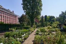 Słynny 30-letni sklep ogrodniczy przy ogrodzie botanicznym zamknięty! Co się stało?