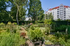 Słynny 30-letni sklep ogrodniczy przy ogrodzie botanicznym zamknięty! Co się stało?
