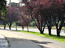<h2>7,2 km</h2>
<h3>nowych chodnik&oacute;w</h3>
<p>Wystarczy, aby z Rynku dojść do Auchan na Bielanach.</p>
<p>_____________</p>
<h2>10,1 km</h2>
<h3>sieci wodno-kanalizacyjnych</h3>