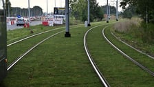 Torowisko wzdłuż ul. Legnickiej z każdym dniem staje się bardziej zielone. Kładzione są maty rozchodnikowe.
