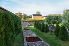 Ogród saunowy we wrocławskim Aquaparku