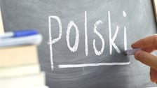 <h2>Korepetycje z języka polskiego Wrocław 2025. Jakie ceny?</h2>
<ul>
<li>u nauczyciela 80-200 zł</li>
<li>z dojazdem do ucznia 100-220 zł</li>
<li>online 60-150 zł</li>
</ul>