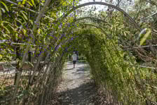 park Leonarda da Vinci, wieloetapowa inwestycja WBO