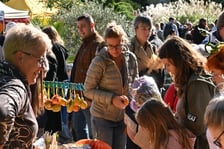 XX Dolnośląski Festiwal Dyni w Ogrodzie Botanicznym UWr.