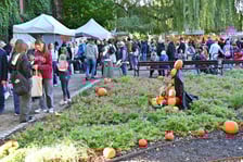 XX Dolnośląski Festiwal Dyni w Ogrodzie Botanicznym UWr.
