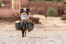 Agadir w Maroko